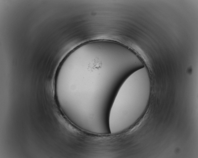 X0000102480892200808081030