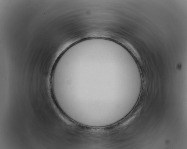 X0000102480893200808081030
