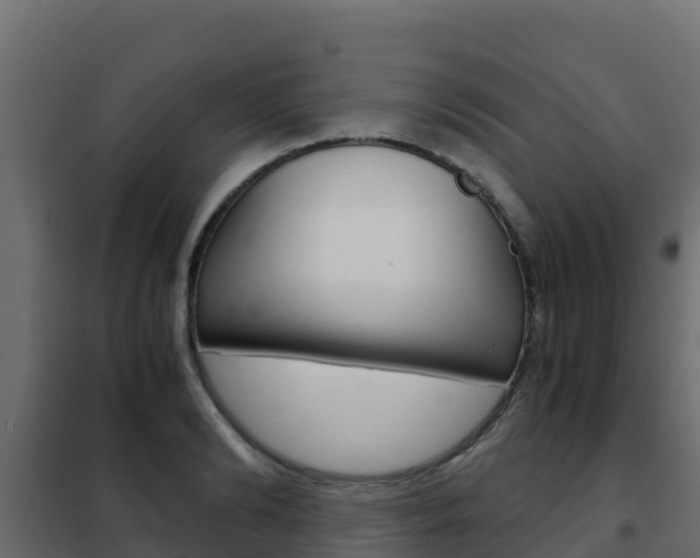 X0000102480894200808081030