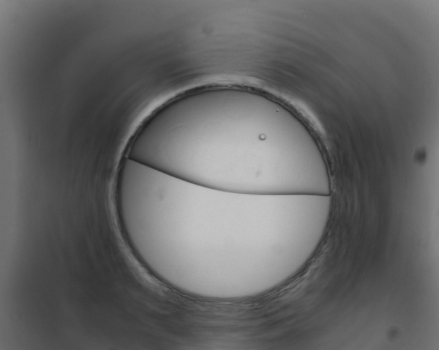 X0000102480895200808081030