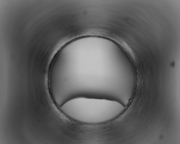 X0000102480896200808081030