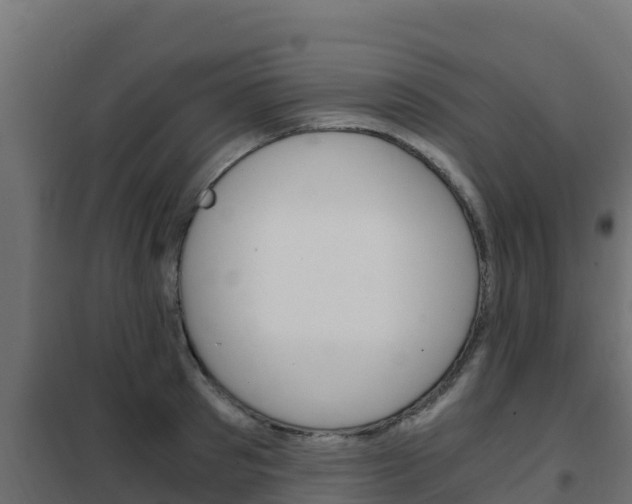 X0000102480897200808081030