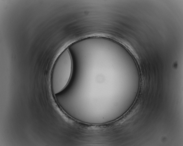 X0000102480898200808081030