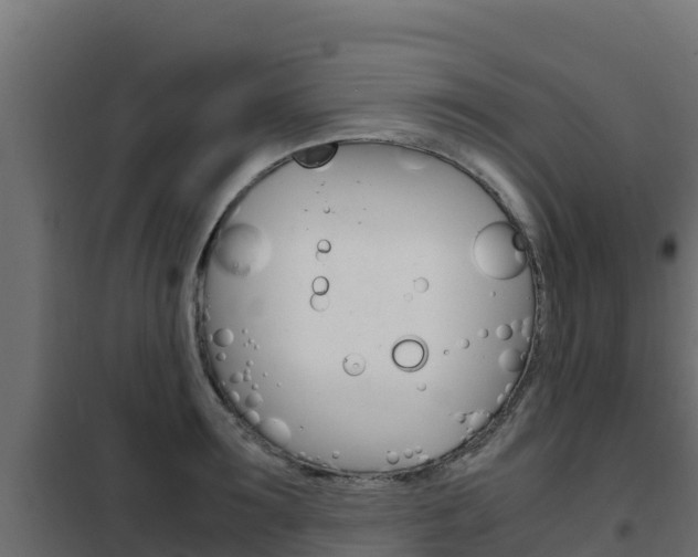 X0000102480899200808081030