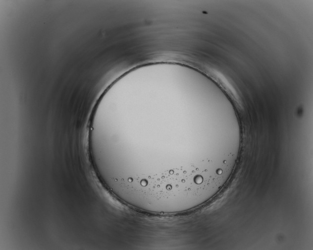 X0000102480900200808081030
