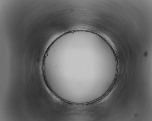 X0000102480901200808081030