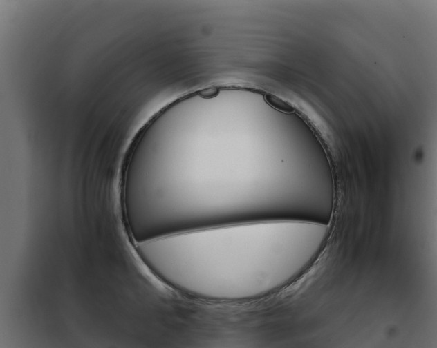 X0000102480902200808081030