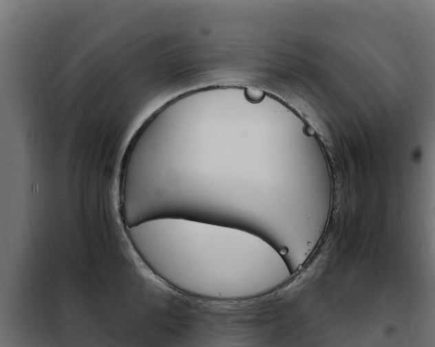 X0000102480904200808081030