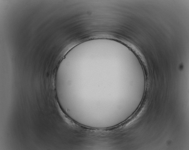 X0000102480905200808081030