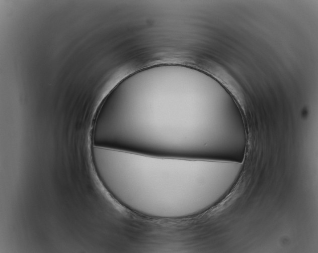 X0000102480906200808081030
