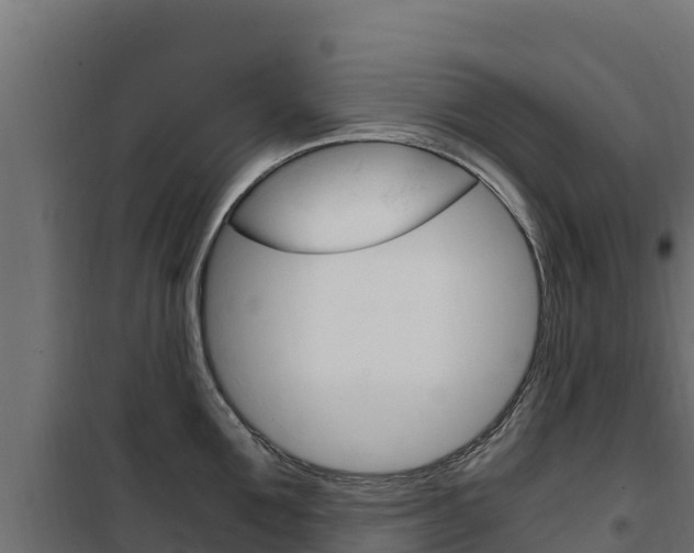 X0000102480907200808081030