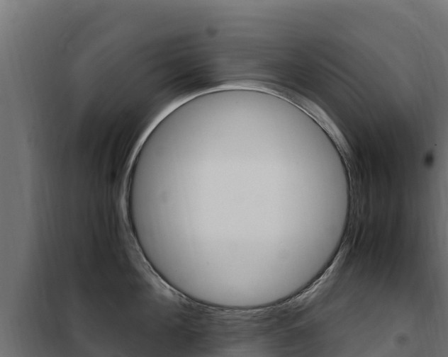 X0000102480908200808081030