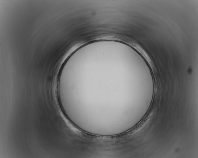 X0000102480909200808081030