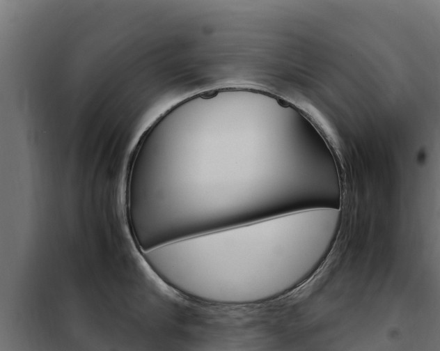 X0000102480910200808081030