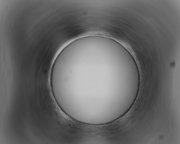X0000102480912200808081030