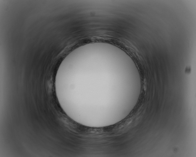 X0000102480915200808081029