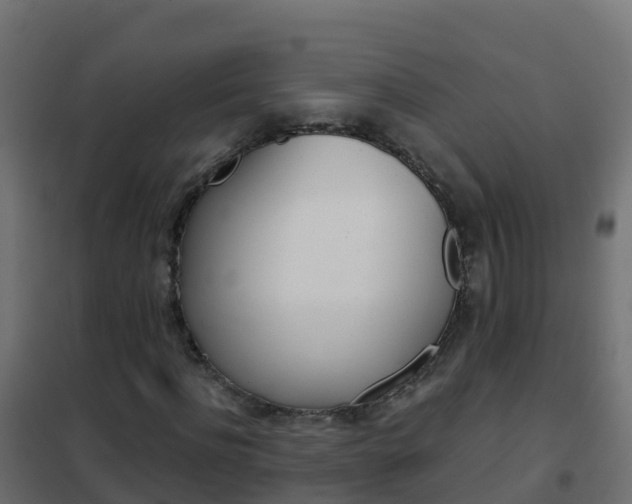 X0000102480916200808081029