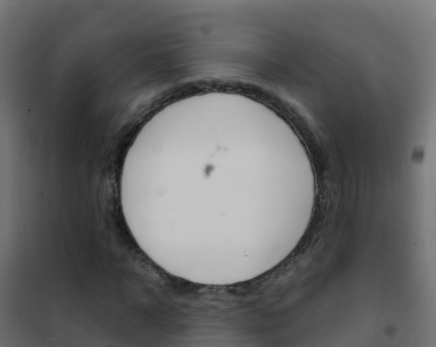 X0000102480918200808081029