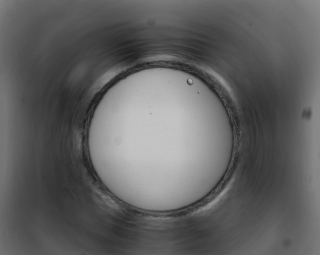 X0000102480921200808081029
