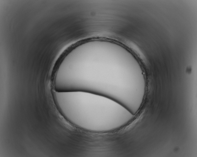 X0000102480924200808081029