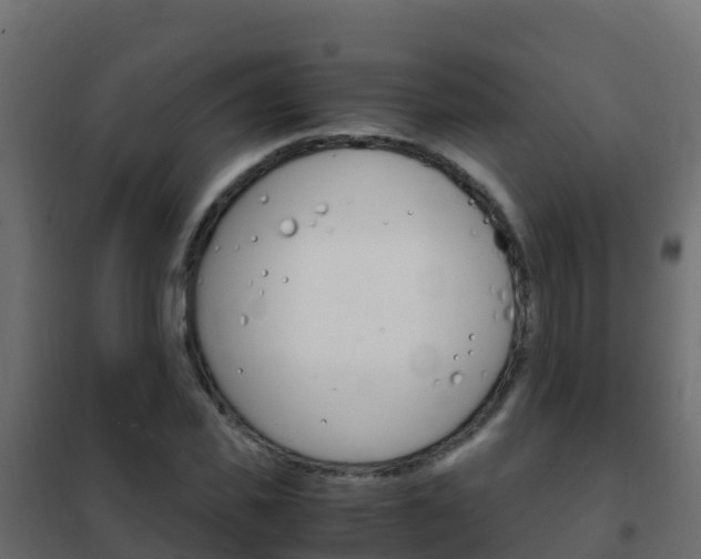 X0000102480925200808081029