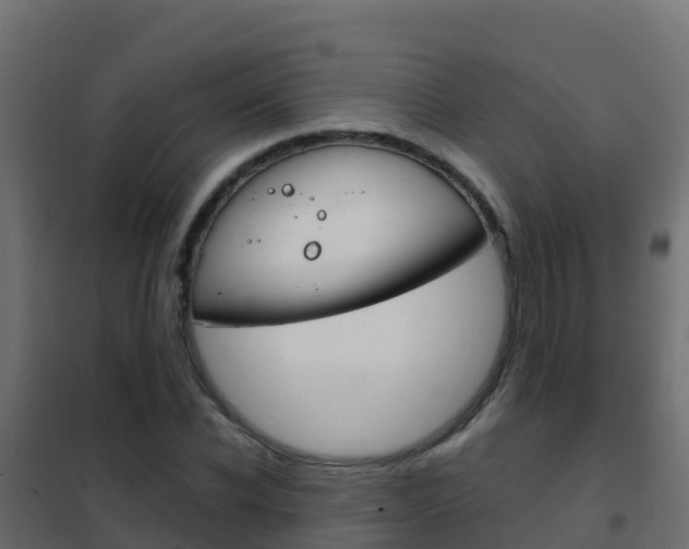 X0000102480926200808081029