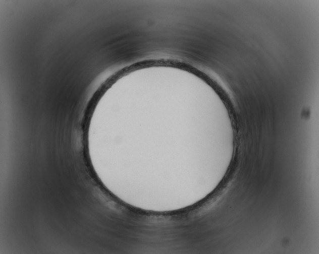 X0000102480927200808081029