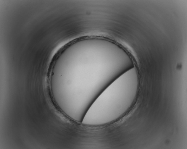 X0000102480928200808081029