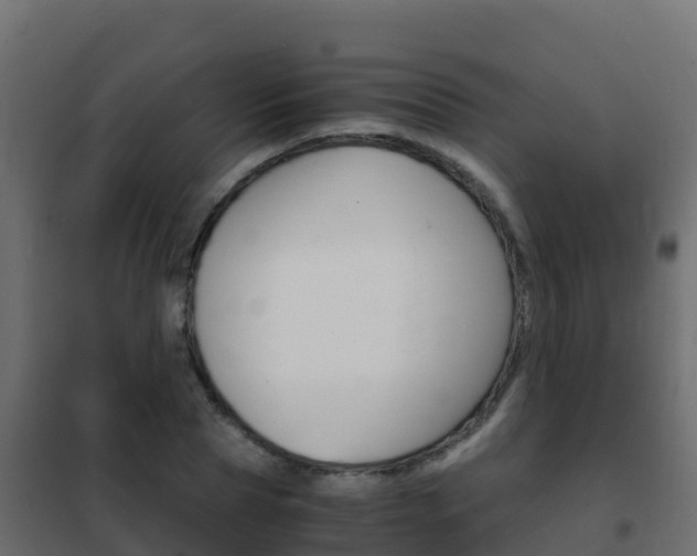 X0000102480929200808081029
