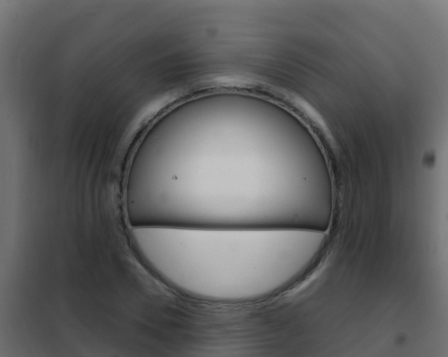 X0000102480930200808081029