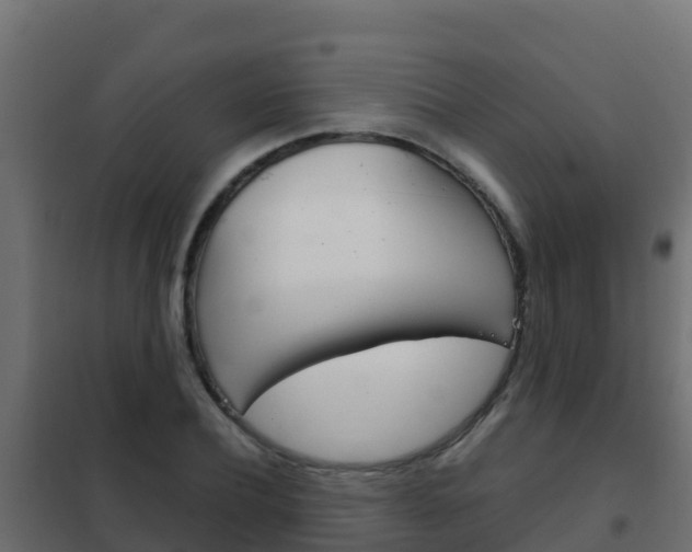 X0000102480932200808081030