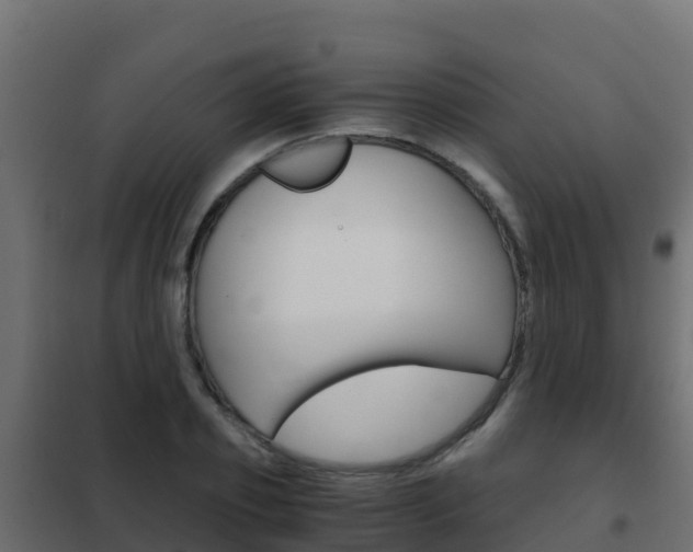 X0000102480933200808081030