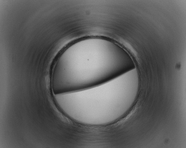 X0000102480934200808081030