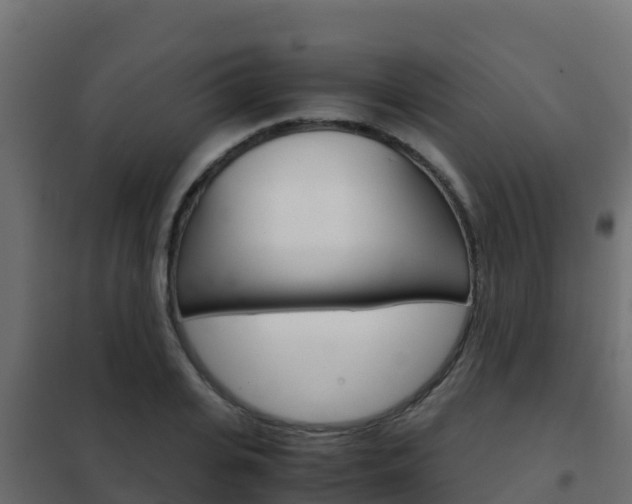 X0000102480935200808081030