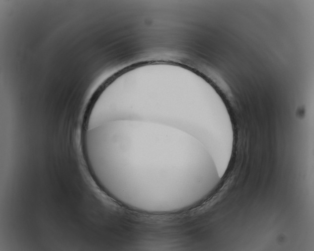 X0000102480936200808081030