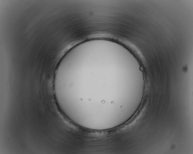 X0000102480937200808081030