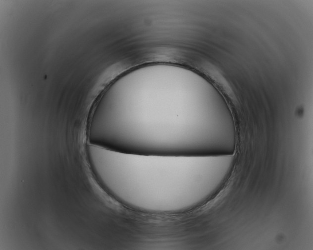 X0000102480938200808081030