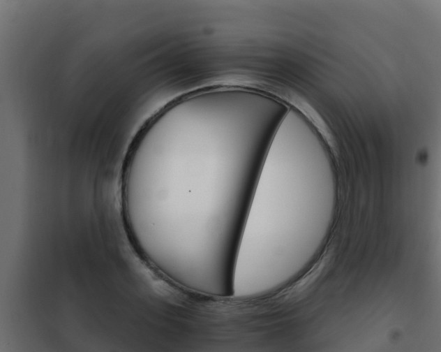 X0000102480939200808081030