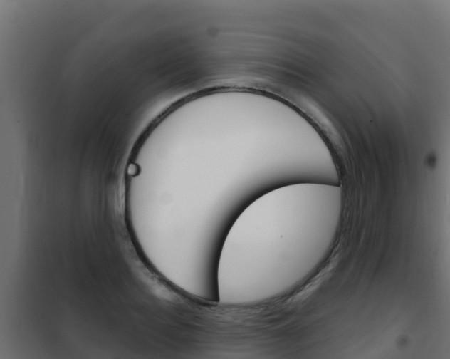X0000102480940200808081030