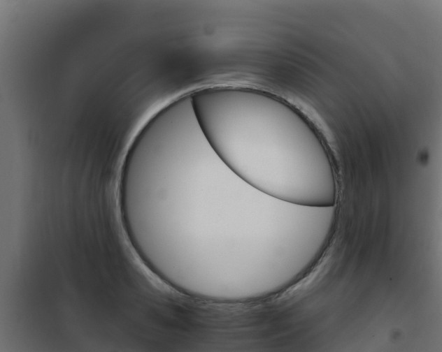 X0000102480941200808081030