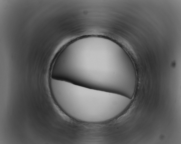 X0000102480942200808081030