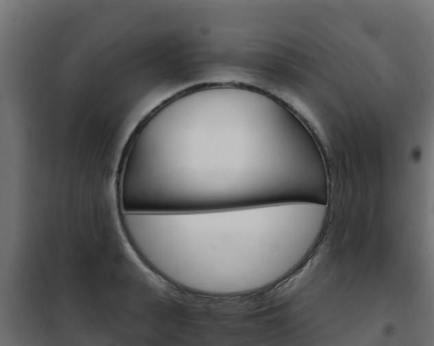 X0000102480943200808081030