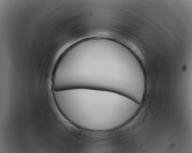 X0000102480944200808081030