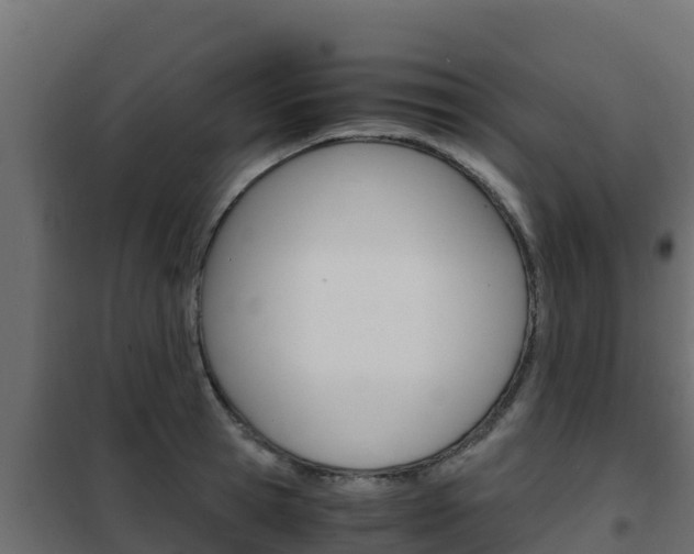 X0000102480945200808081030
