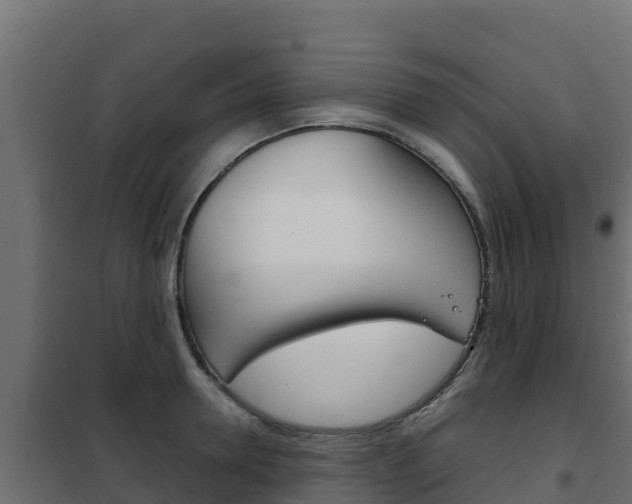 X0000102480946200808081030