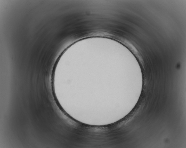 X0000102480947200808081030
