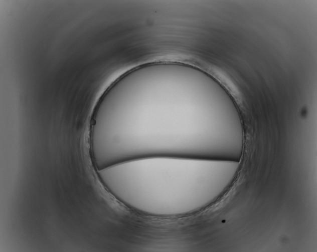X0000102480948200808081030