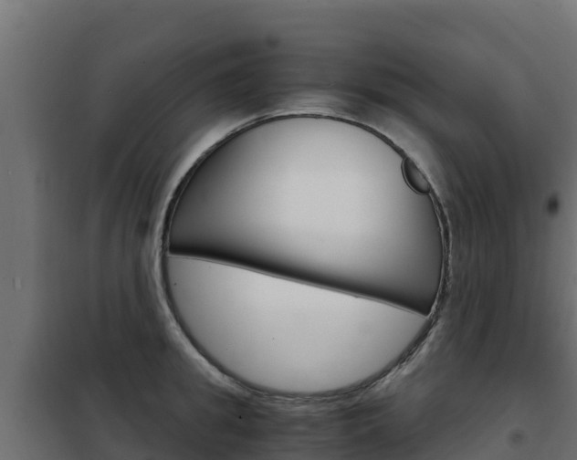 X0000102480949200808081030