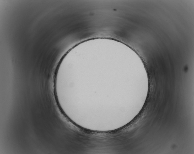 X0000102480950200808081030