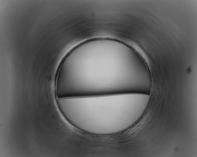 X0000102480951200808081030